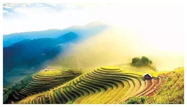 世界人工栽培的发源地，广西最雄伟大气的梯田，四季景色都不同
