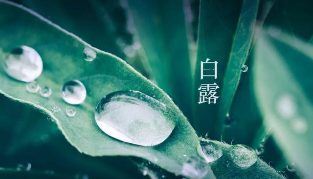 二十四节气，二十四首诗词：春去冬来，美极了