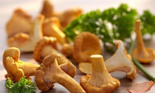 世界上最美味的四种菌菇，第一种最昂贵，第三种最珍贵！