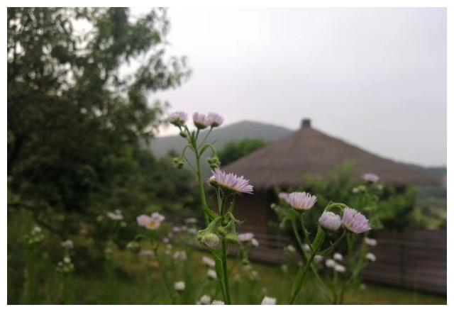 定位沛县：此刻，我在康城麻四娘火锅店