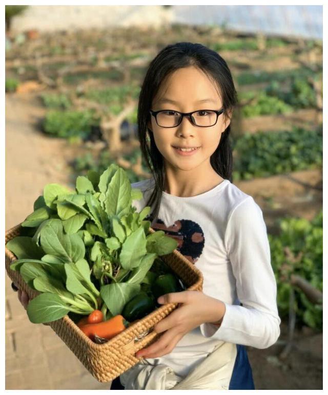 佟大为一家五口春日采摘，大女儿酷似王祖贤，二女儿和儿子超可爱