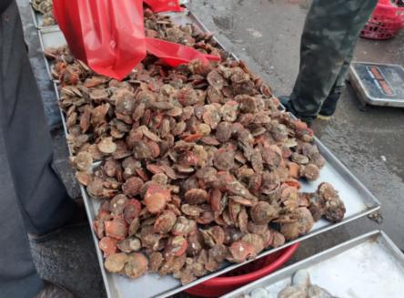 青岛早市开始营业，物美价廉的海鲜琳琅满目，10块二斤最受欢迎