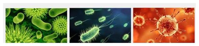 杨超越猛闻袜子称“仙女的脚不会臭” 细挖女明星的“脚臭秘闻”