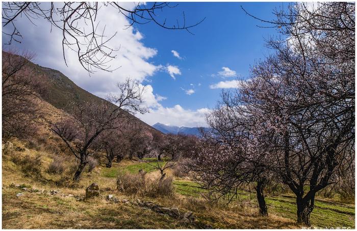 西藏桃花拍摄的绝佳地，被誉“林芝桃花第一村”，是摄影师的最爱