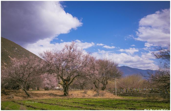西藏桃花拍摄的绝佳地，被誉“林芝桃花第一村”，是摄影师的最爱