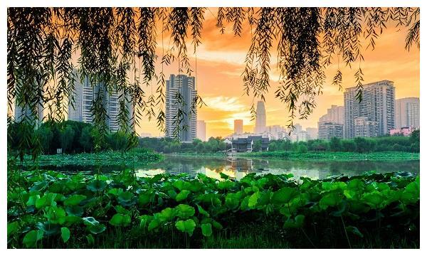 武汉一环内最大的公园，随手一拍就是美照，钓鱼人能在这待一天