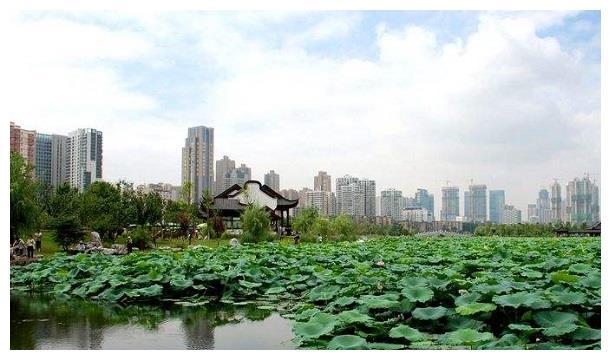 武汉一环内最大的公园，随手一拍就是美照，钓鱼人能在这待一天