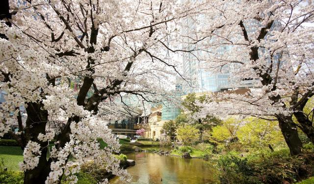 日本旅游攻略：六本木新城，情侣约会一定要去顶楼的城市观景台！