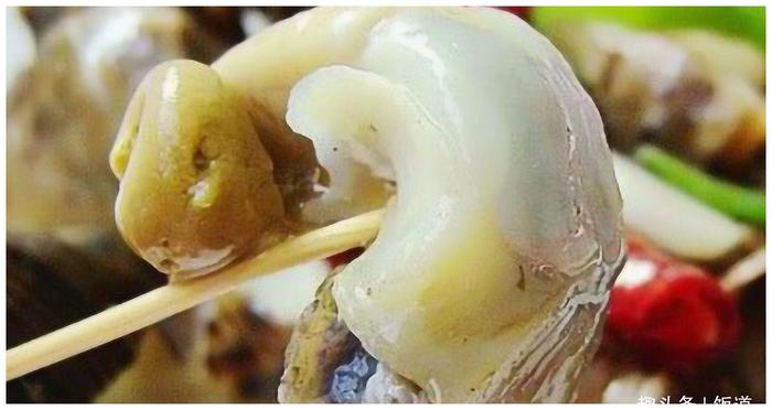 海螺的“尾部”到底是黄还是“屎”？很多人不知道还觉得真香