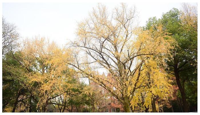 苏州大学：我也不想狂刷论文，顺应环境，做中国的伯克利就好