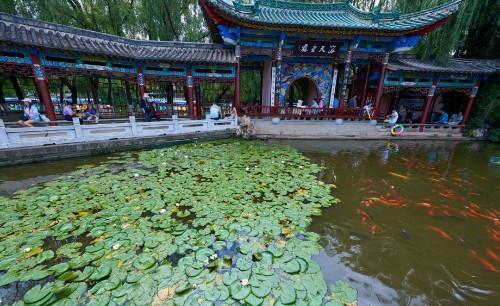 昆明也有一个杭州西湖，夏荷冬鸥，因四季翠绿而扬名于海内外