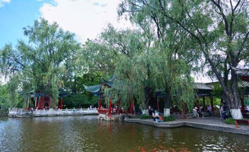 昆明也有一个杭州西湖，夏荷冬鸥，因四季翠绿而扬名于海内外