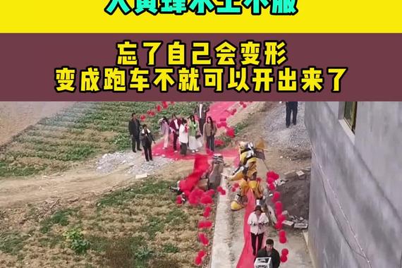 大黄蜂水土不服忘了自己会变形变成跑车不就可以开出来了