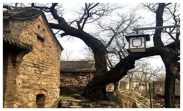 洛阳新安：隐在大山中的古村落，因石而居因寺得名，最大年岁586