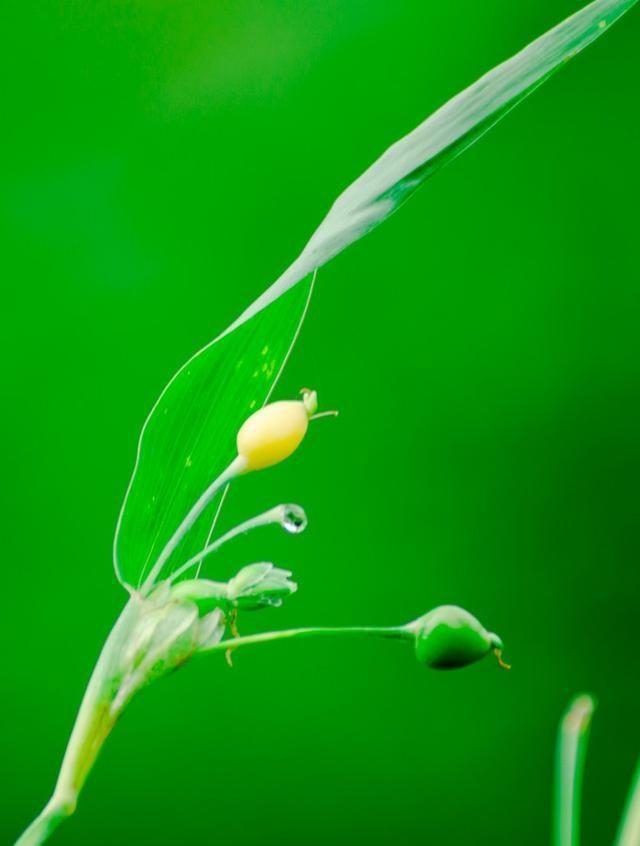 花开花落终有时，春夏秋冬皆自然！