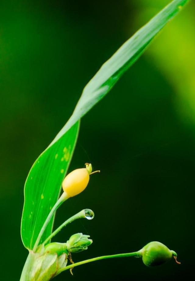 花开花落终有时，春夏秋冬皆自然！