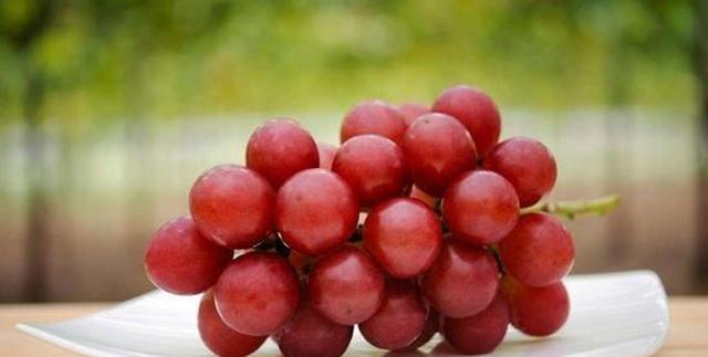 世界上最贵的葡萄品种有哪些呢？这些天价葡萄，普通人吃不起！