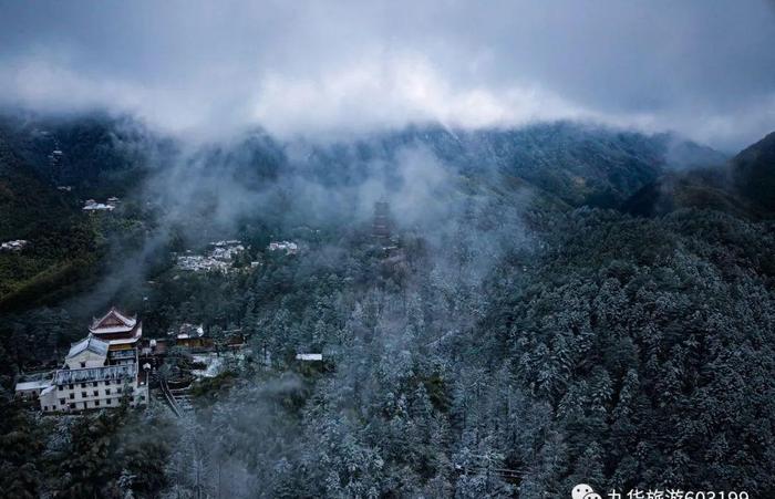 奇景｜九华山一场“桃花雪”，惊艳了春天！