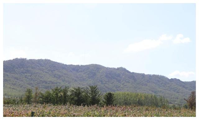 登州府徐姓后人寻根，先祖闯关东落户在锦州黑山县