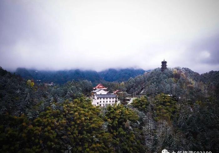 奇景｜九华山一场“桃花雪”，惊艳了春天！