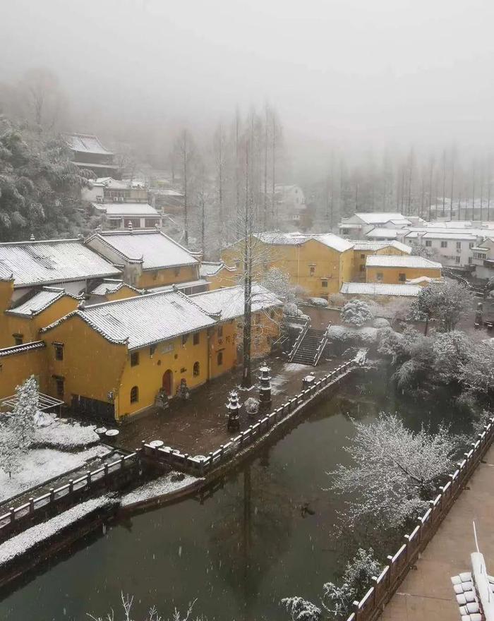 奇景｜九华山一场“桃花雪”，惊艳了春天！