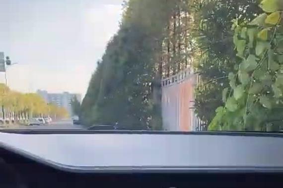 欧拉iq低碳生活