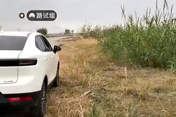 长城欧拉iq