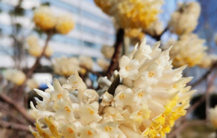 【原创】阳春三月春暖花开（散文）