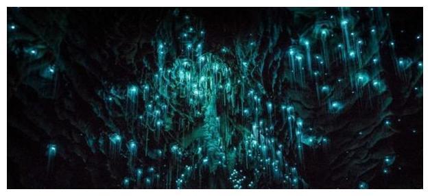 一个具有传奇梦幻的地下世界，这个神秘的洞穴超乎你的想象