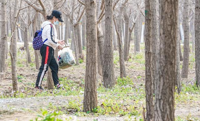 公园“挖野菜大军”又出动了，这种“掐尖儿”行为得掐住