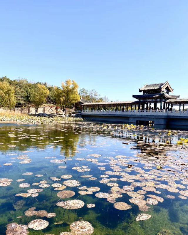 北京除了香山公园，这个公园才是赏红叶的好地方，人少景美很惬意