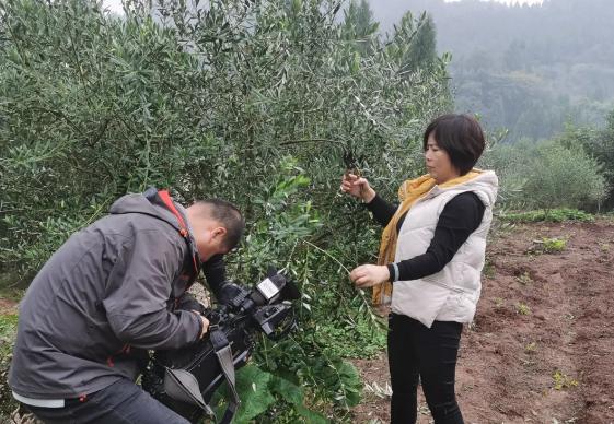 致富经视频_致富小视频加工厂_致富经视频下载