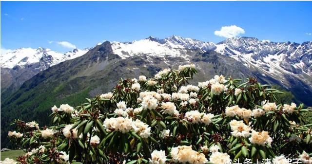 2020疫情后游四川：诺水河，北川九皇山，达古冰山，光雾山