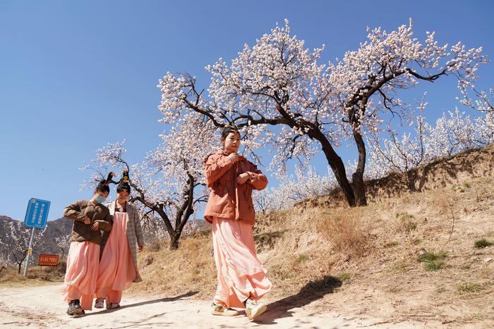 山西运城发现1个杏花村，花开时节游人如织，看看有多美