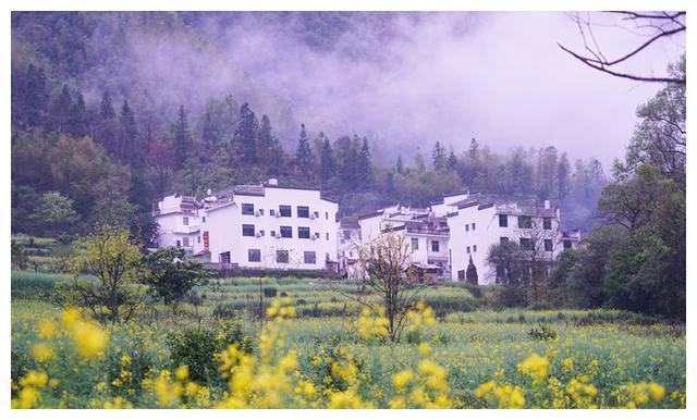 实拍中国最美乡村的春天，婺源万亩油菜花盛放，云海梯田天上人间