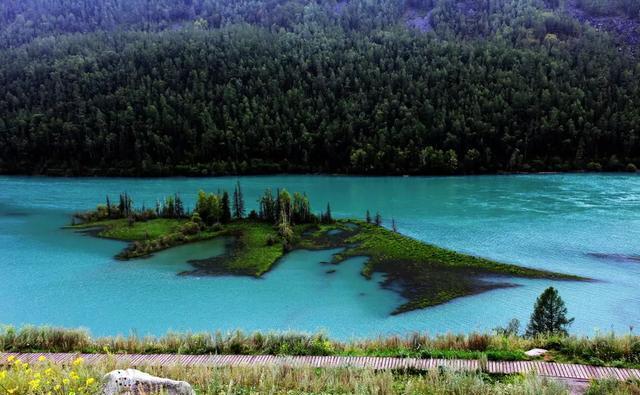 八月去北疆，拥抱喀纳斯湖正当时！