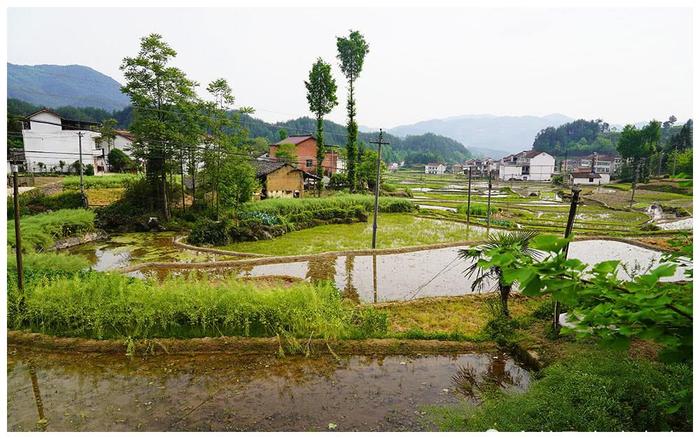 从陕西汉中到四川巴中，骑行米仓山，千年米仓道，蜀道真的难