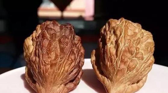 这26种文玩核桃，都是“歪瓜裂枣”，但却个个价值不菲！