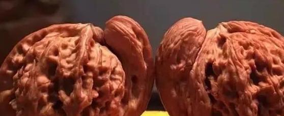 这26种文玩核桃，都是“歪瓜裂枣”，但却个个价值不菲！