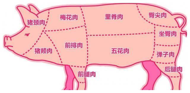 猪肉各部位图解，适宜吃法，热量多少，厨师长普及用肉知识