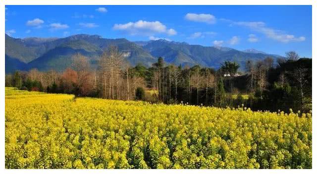 在云南的这个极边小镇，是高黎贡山环抱下的“花园盆地”，太美！