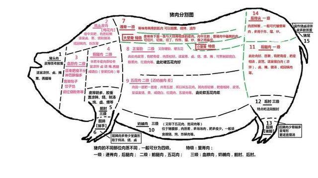 猪肉各部位图解，适宜吃法，热量多少，厨师长普及用肉知识