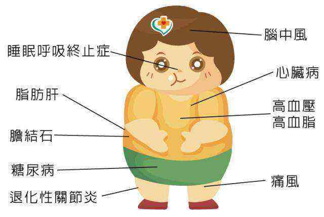 肥胖对我们的身体危害有多大？