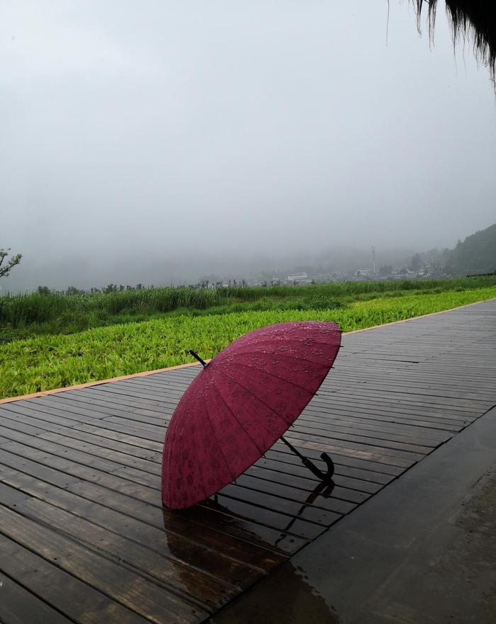 闻香女人：雨中万种风情，仙境北海湿地