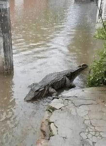 如果我是按摩师，遇到这种客人，估计我撒腿就跑了！哈哈哈哈