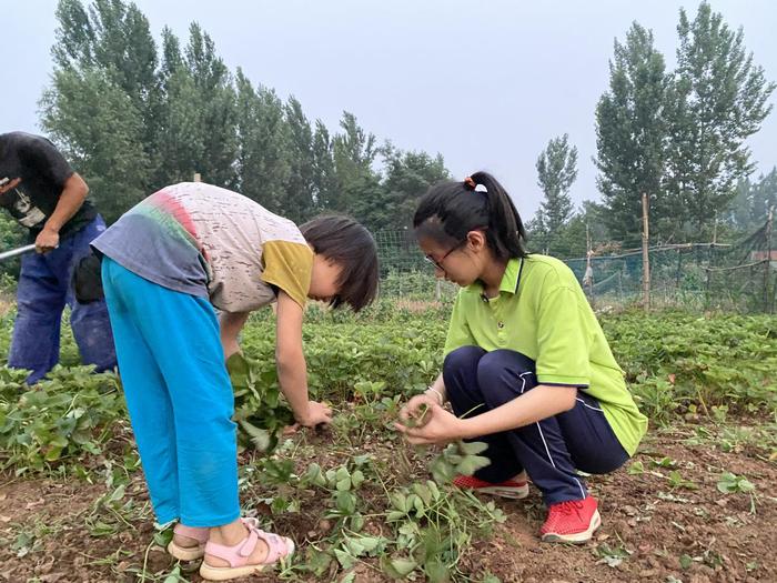 学霸女孩突然辍学急坏爸爸，智残母亲拾荒买糖哄女儿，哭说：念书