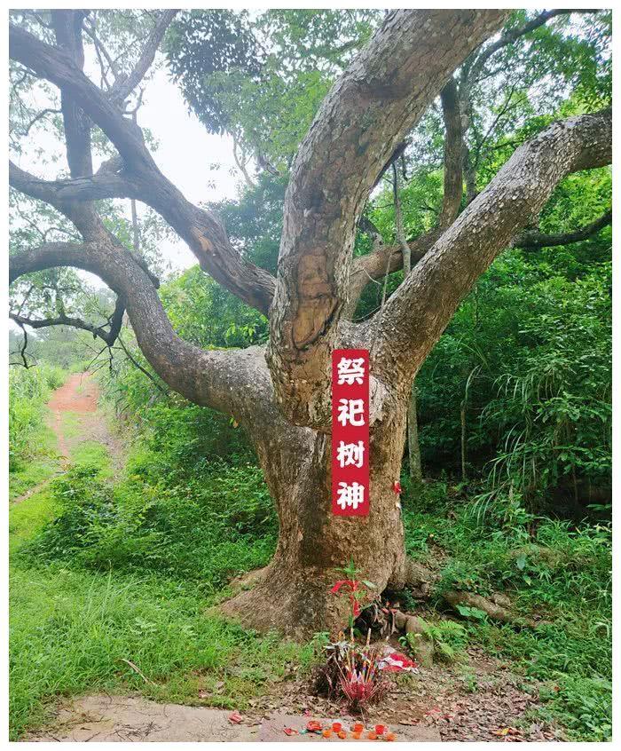 探访民间自然神灵——泉水神