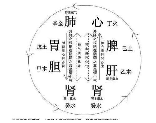 头发形状与五行生克，发型颜色推测你一生的命运