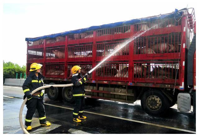 高速路上二师兄缺水险中暑 许昌消防队员紧急送水解燃眉之急