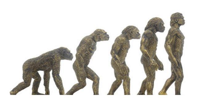 达尔文进化论适合动物，却不适合人类，人类历史就是开挂的历史